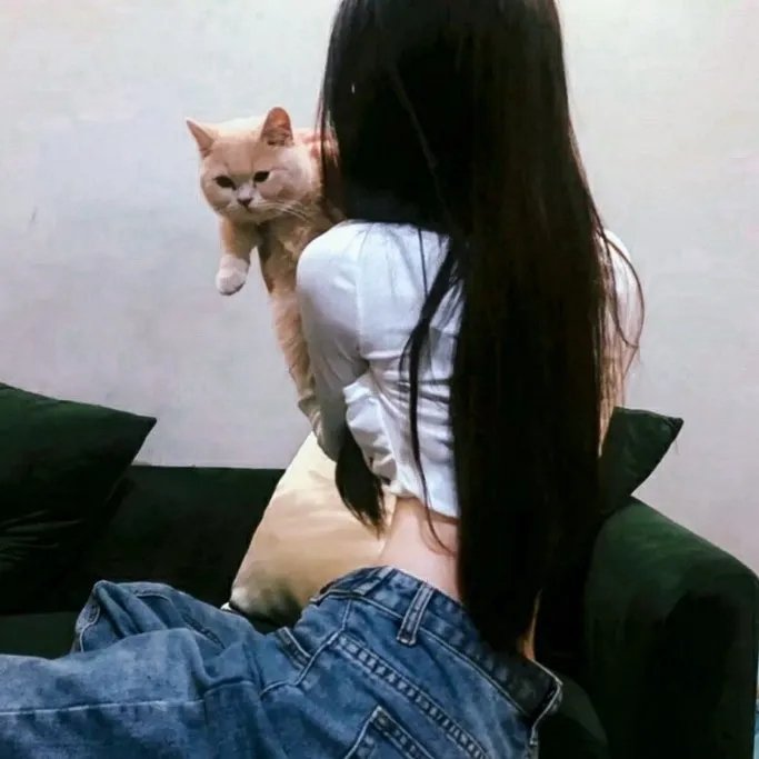 魔法坏女巫:第二部